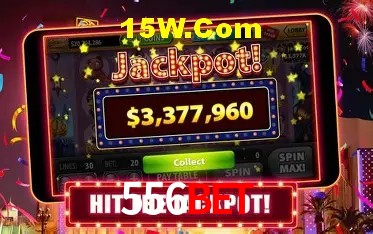 556Bet - User Statistics